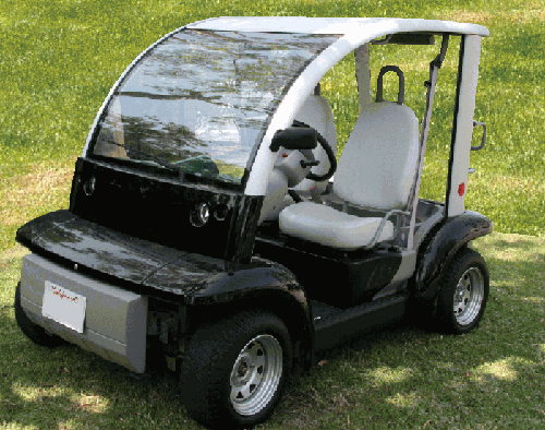 Used ford think golf carts #6