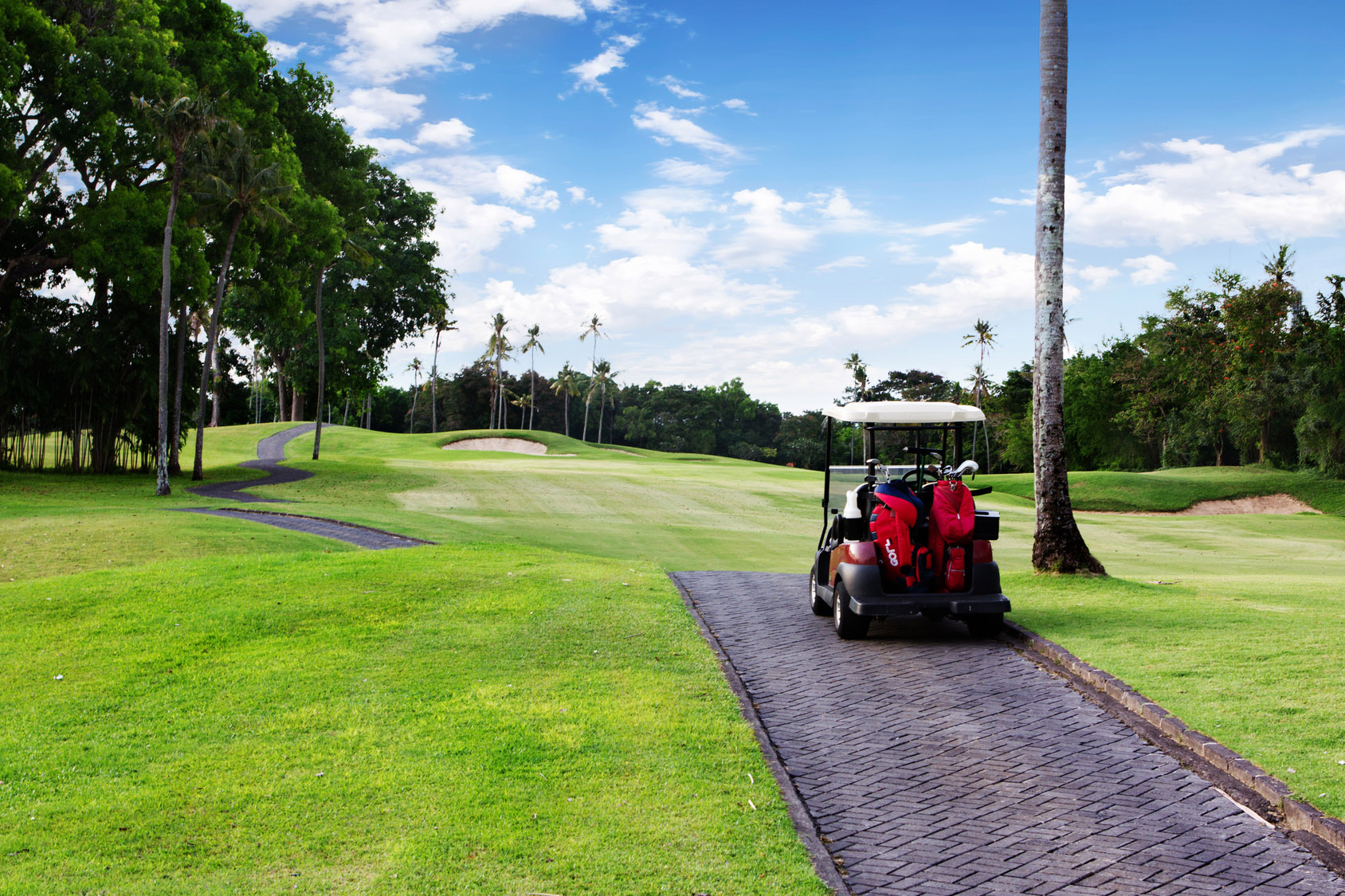 Capistrano Golf Cars