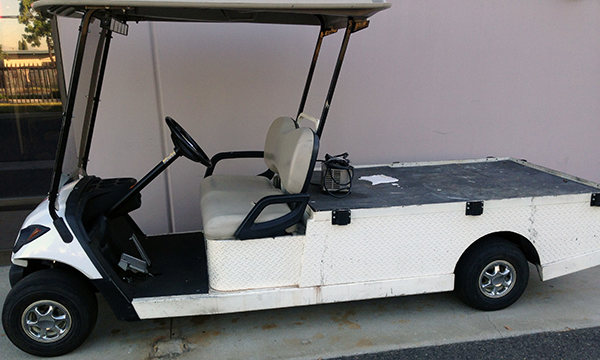 New Golf Carts