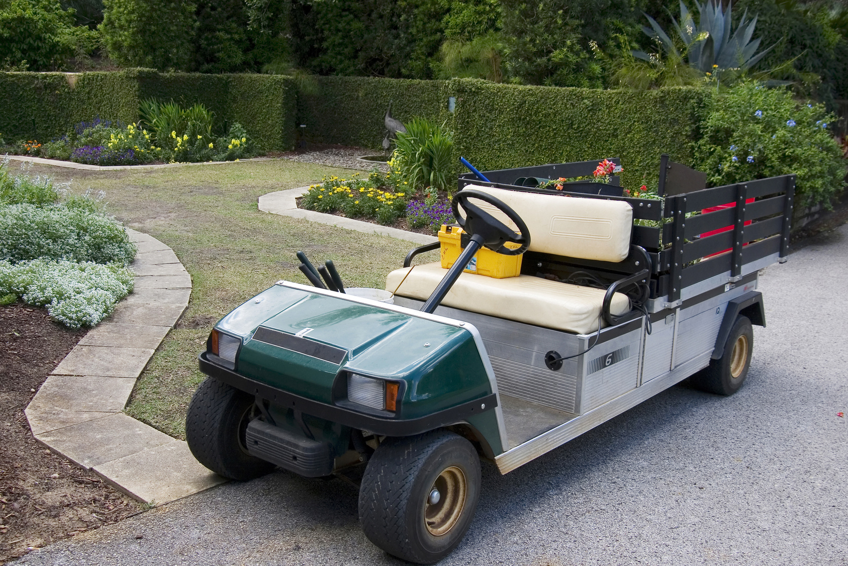 New Golf Carts